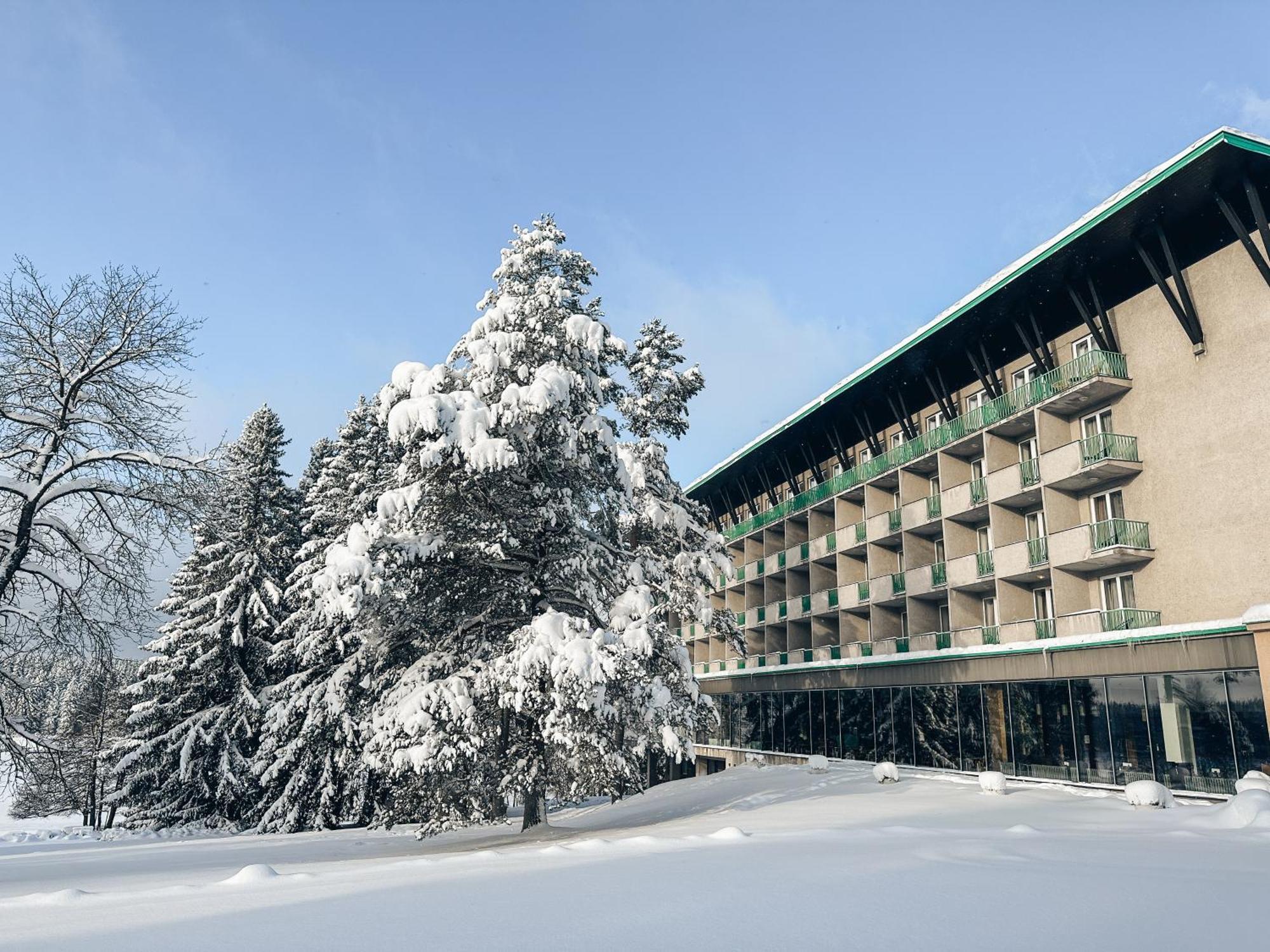 Hotel Medlov Nove Mesto na Morave Exterior photo